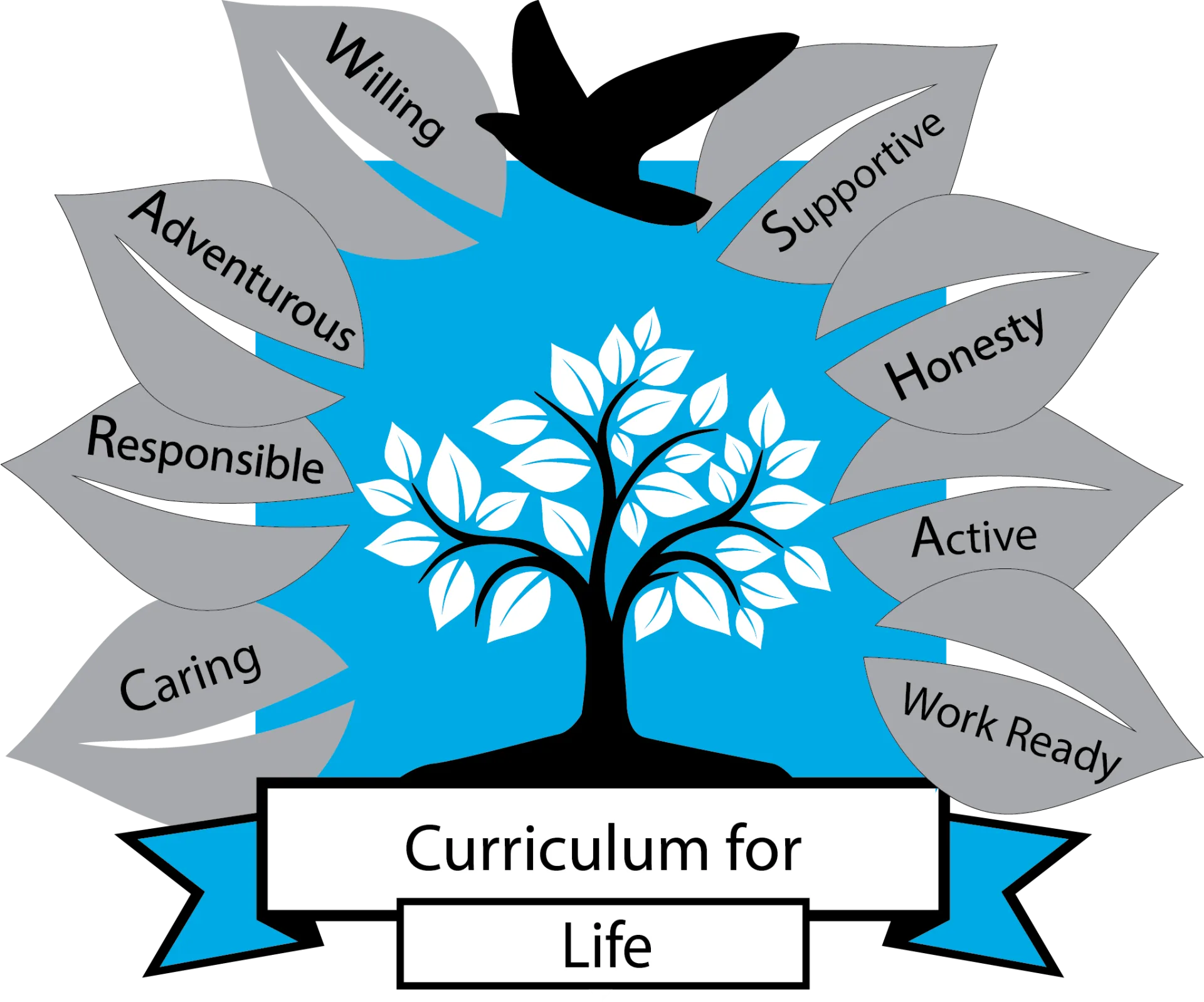 curriculum for life